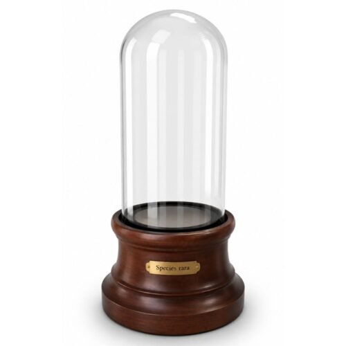 Plymor Glass Display Dome Cloche with Premium Walnut Veneer Base